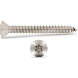 Iso 14587 (Din 7983) rustfri syrefast A4 LH Torx 12 rums pladeskrue sortiment �2.2-�2.9