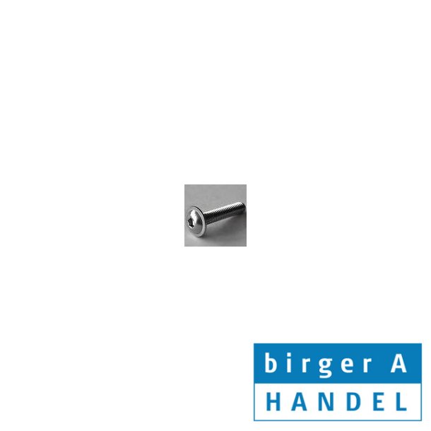 Iso 7380-2 M 8x25 rustfri A2 buttonhead insex skrue med flange