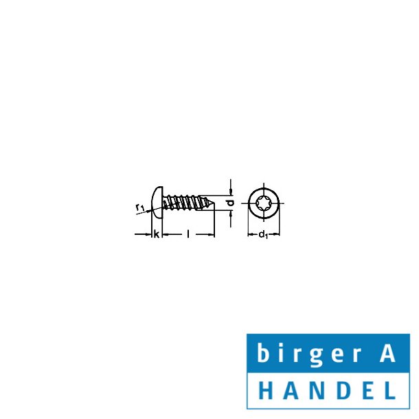 Iso 14585 (din 7981) rustfri syrefast A4 pladeskrue PH TX25 4.8x9.5