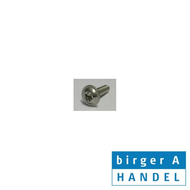 Iso 7380-2 M 4x6 rustfri syrefast A4 buttonhead torx 20 skrue med flange