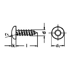 Iso 14585 (din 7981) rustfri syrefast A4 pladeskrue PH TX30 6.3x16