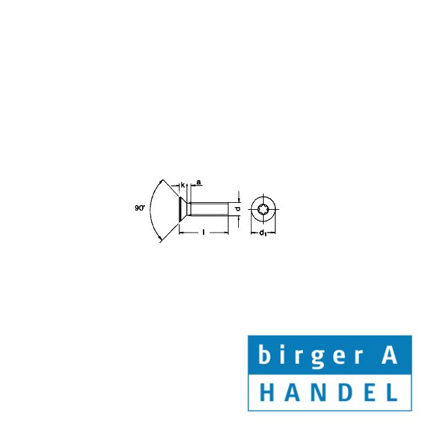 Iso 14581 (din 965) M 5x10 rustfri syrefast A4 maskinskrue UH TX25