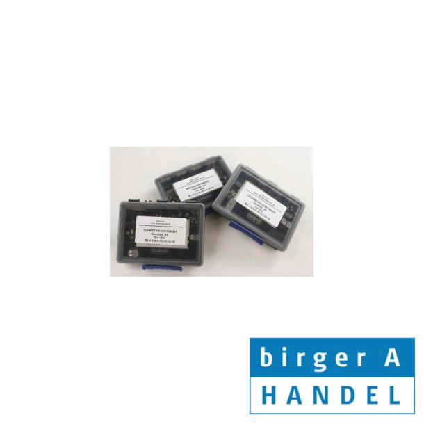 Iso 14586 rustfri syrefast A4 UH Torx 12 rums pladeskrue sortiment �5.5-�6.3