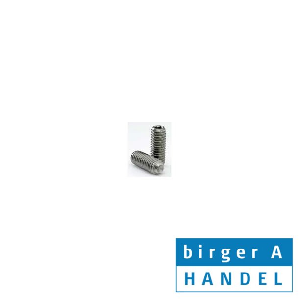 Iso 4029 (din 916) M5+M6 rustfri syrefast A4 pinolskrue sortiment m/krater