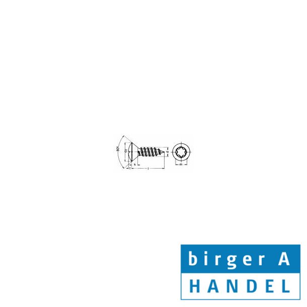 Iso 14587 (din7983) rustfri syrefast A4 pladeskrue LH Tx25 4.8x45  
