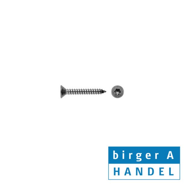 Iso 14586 rustfri syrefast A4 UH Torx 12 rums pladeskrue sortiment �5.5-�6.3