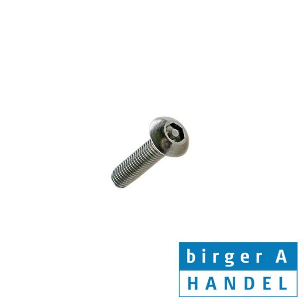 Iso 7380 M 10x25 rustfri A2 BH insex Pin sikkerhedsskrue