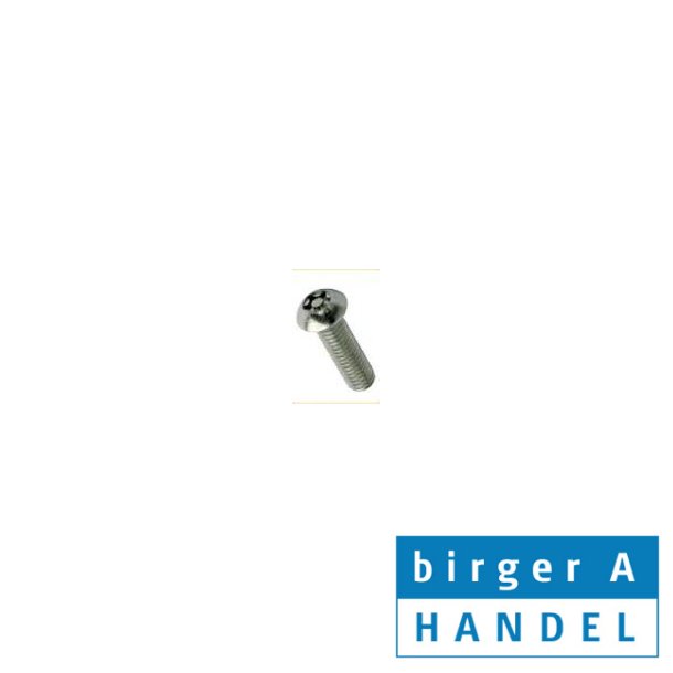 Rustfri A2 BH sikkerhedsskrue Pin Torx40 M 8x30 