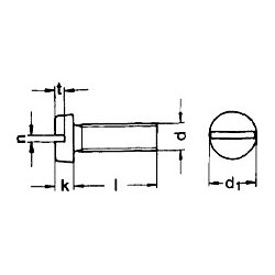 Din 84 M 8x40 rustfri syrefast A4 CH lige krv maskinskrue 