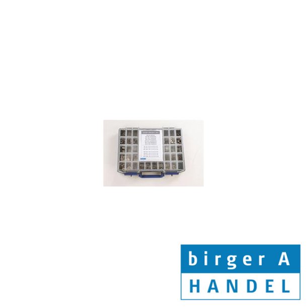 Iso 14586 rustfri syrefast A4 UH TORX 50 rums pladeskrue sortiment 2.2-6.3mm 