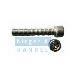 Iso 14579 M4 rustfri A2 cylinderhoved TORX sortiment 12rum