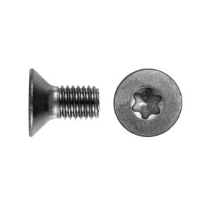 Din 7991 M 4x10 rustfri syrefast A4 undersnket torx skrue Tx20