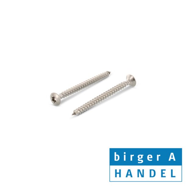 Art. 9046-3.0x20 rustfri syrefast A4 LH spnpladeskrue Torx 10