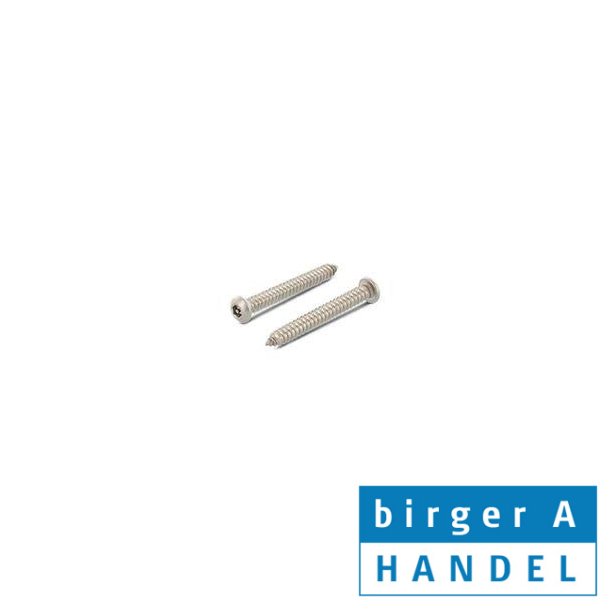 Art. 9110 4.2x50 rustfri A2 insex PIN sikkerhedspladeskrue