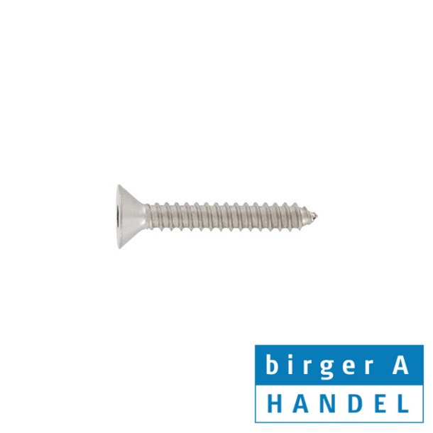 Art. 9112 4.2x50 rustfri A2 UH insex PIN sikkerhedspladeskrue