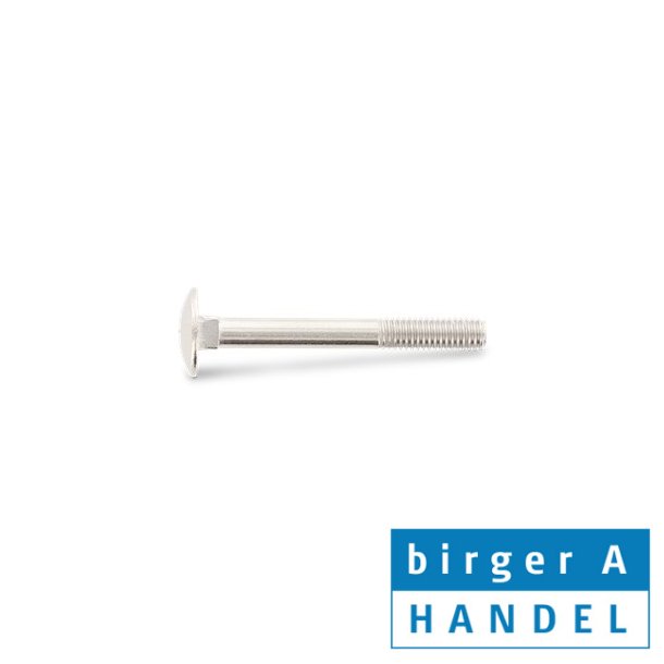 Din 603 M 10x160/32 rustfri syrefast A4 brddebolt