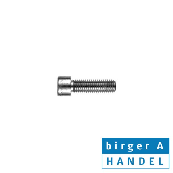 Din 912 M 4x25 rustfri syrefast A4 CH insex skrue