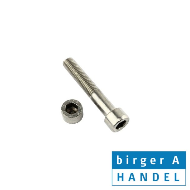 Din 912 M 5x100 rustfri syrefast A4 CH insex skrue