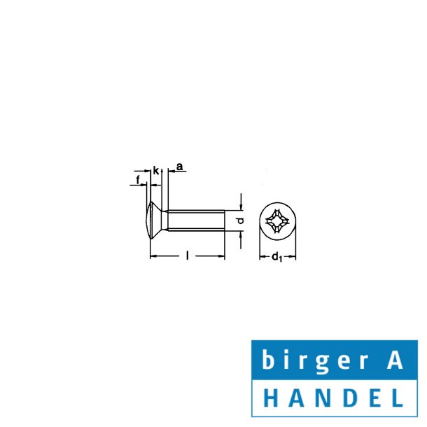 Din 966 M 4x16rustfri syrefast A4 LH pozidriv maskinskrue