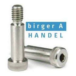  Iso 7379 M8x10x50 pasbolt f9 rustfri A2