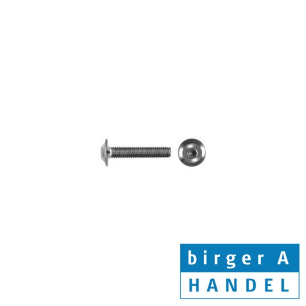 Iso 7380-2 M 4x14 rustfri syrefast A4 buttonhead insex skrue med flange