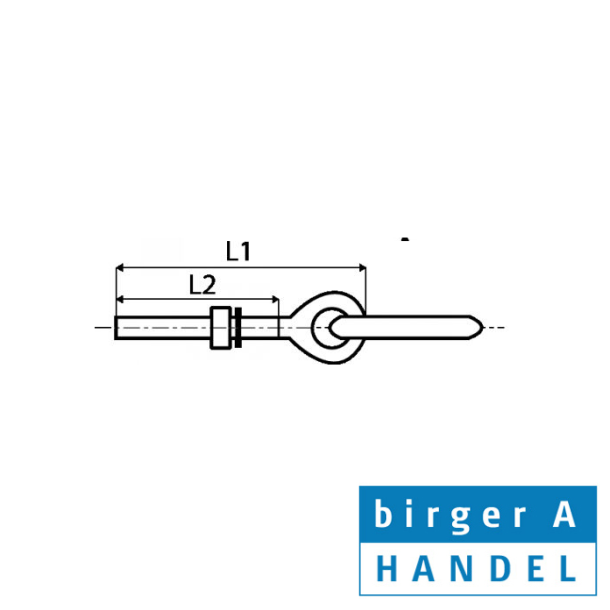jebolt med ring rustfri syrefast A4 M 6x80