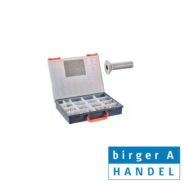 Iso 10642 M4-5-6-8 rustfri syrefast A4 unders�nket insex sortiment